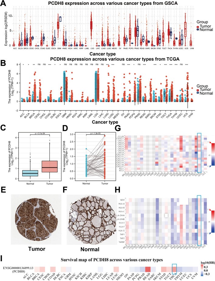 PMC10874333 – Fig1