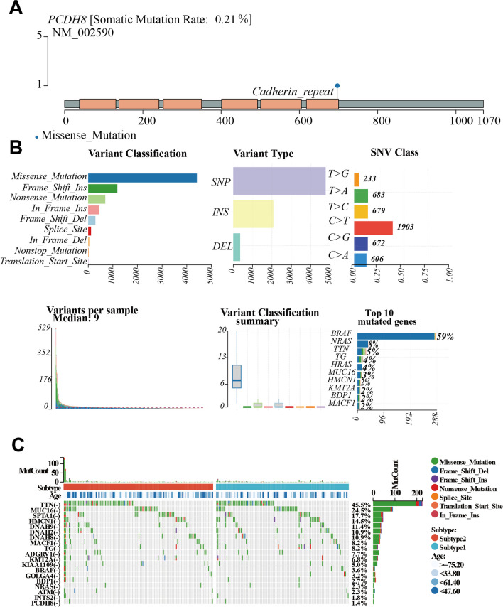 PMC10874333 – Fig4