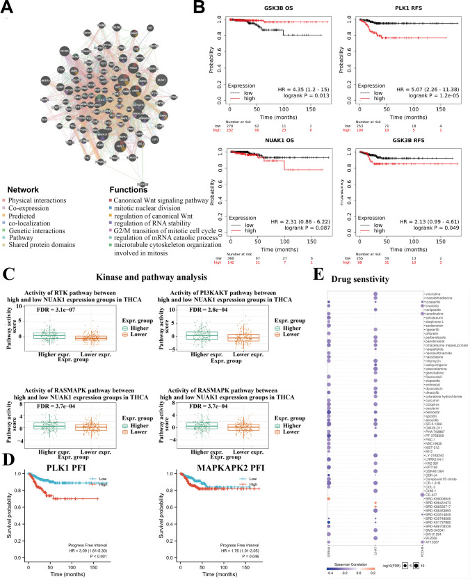 PMC10874333 – Fig7