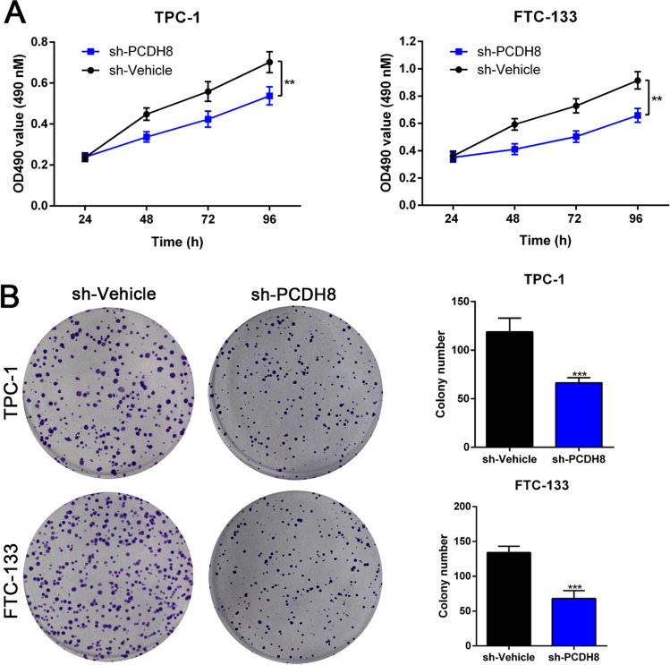 PMC10874333 – Fig9