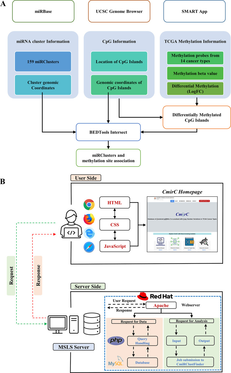 PMC11291601 – Fig1