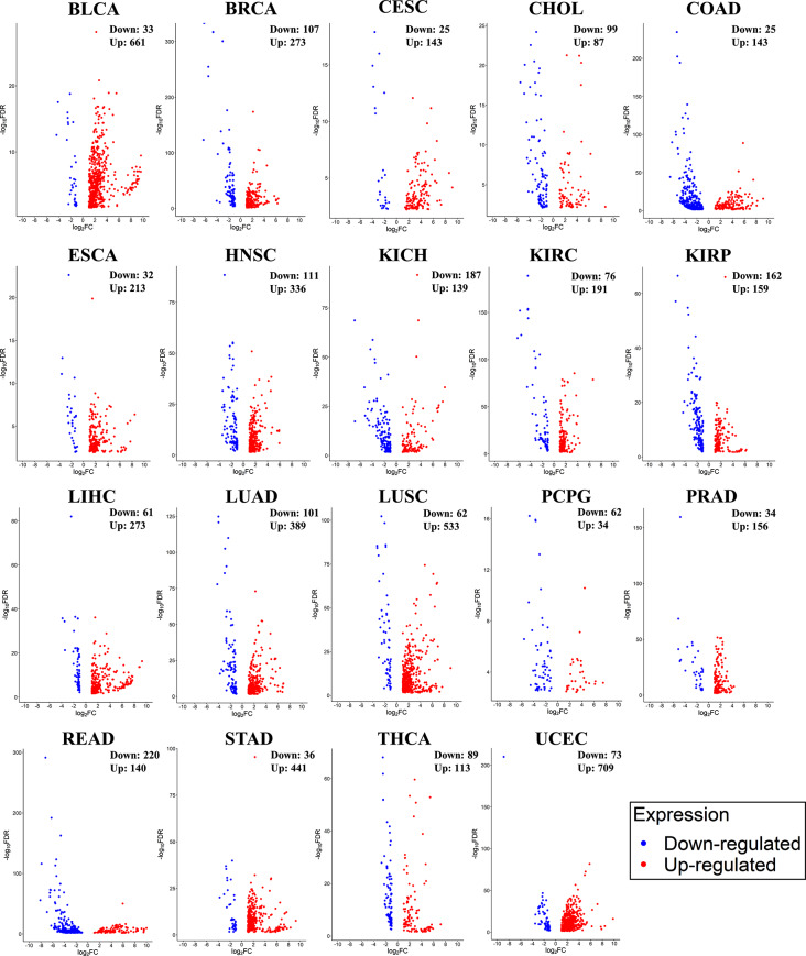 PMC11291601 – Fig2