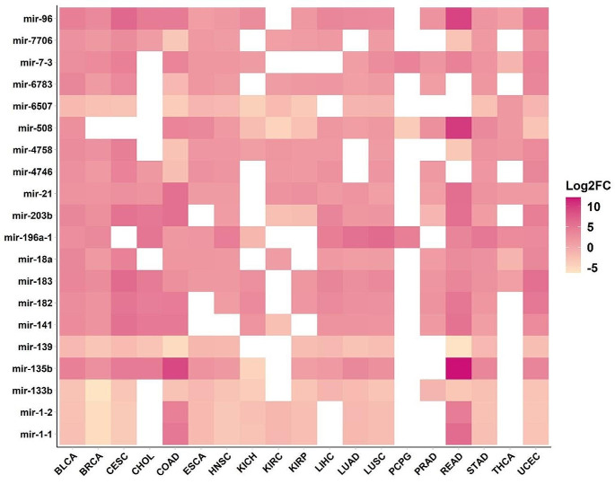 PMC11291601 – Fig4