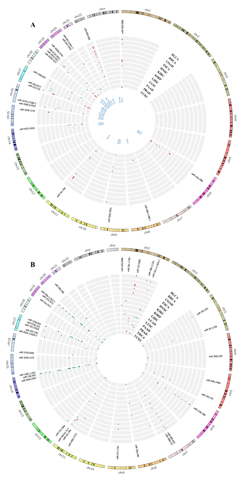 PMC11291601 – Fig5