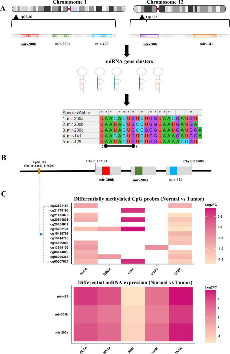 PMC11291601 – Fig6