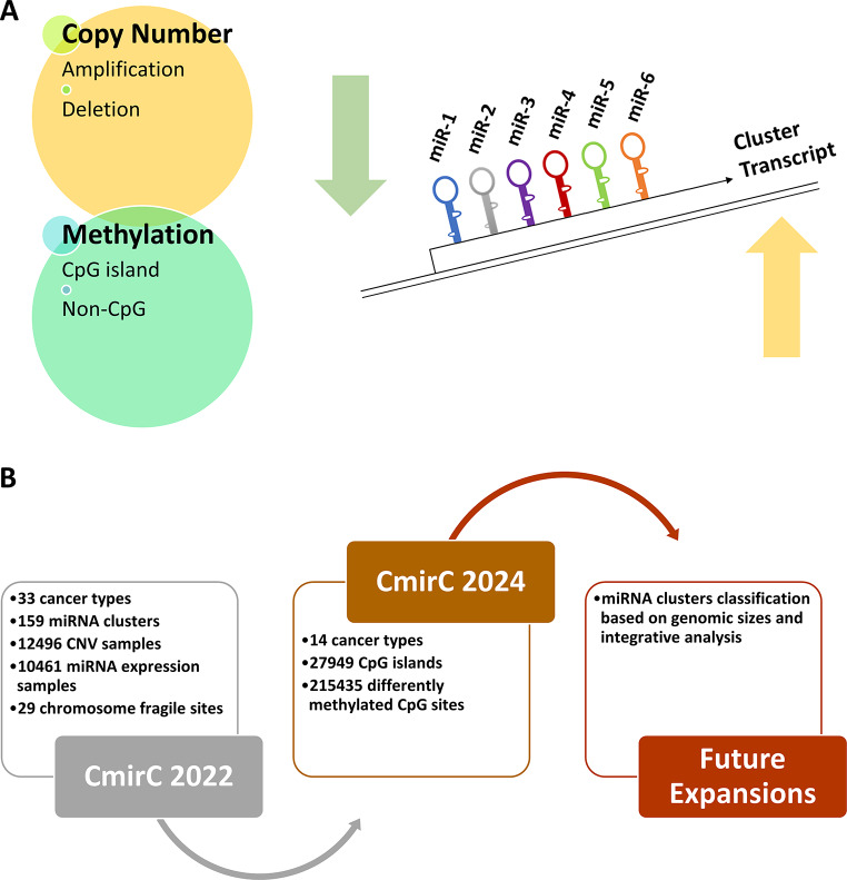 PMC11291601 – Fig7