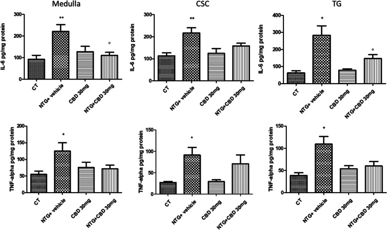 PMC10155373 – Fig12