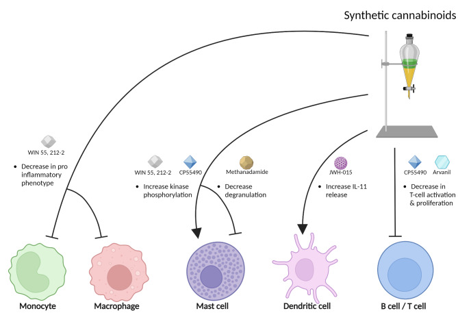 PMC11481476 – Fig3