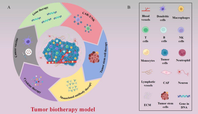 PMC11130057 – Fig2