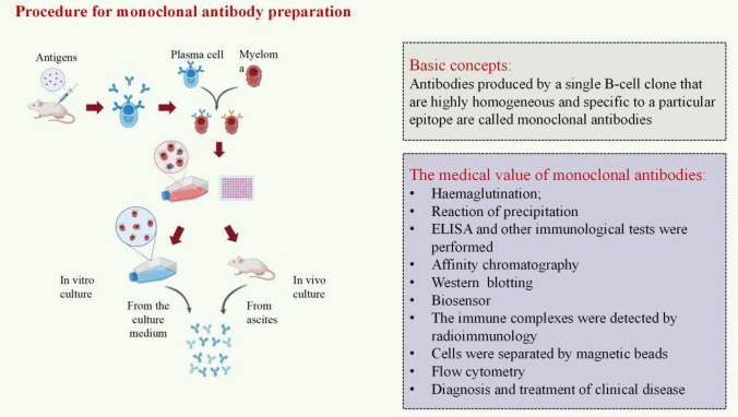 PMC11130057 – Fig5