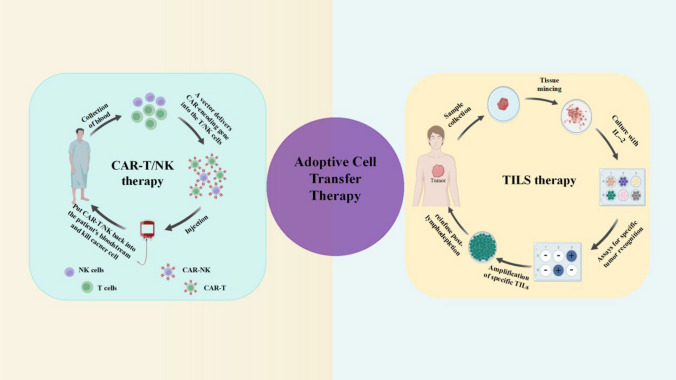 PMC11130057 – Fig6
