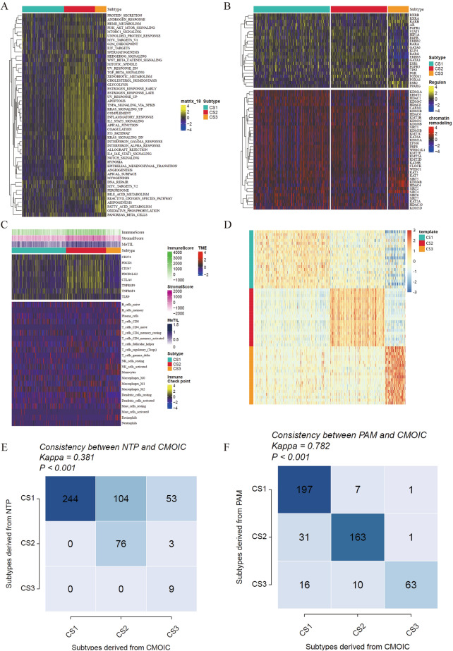 PMC11176101 – Fig2