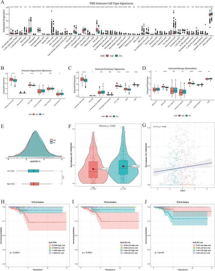 PMC11176101 – Fig5