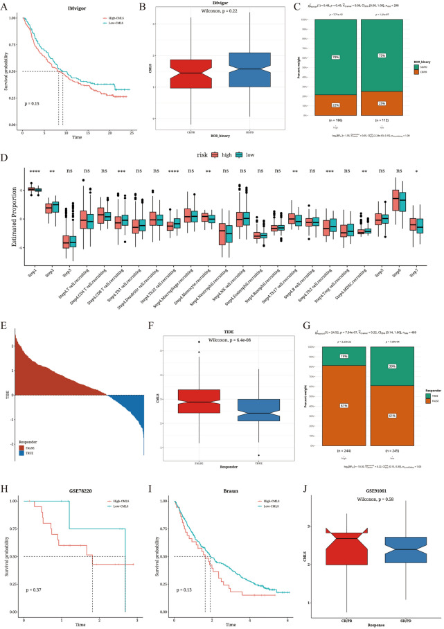 PMC11176101 – Fig6