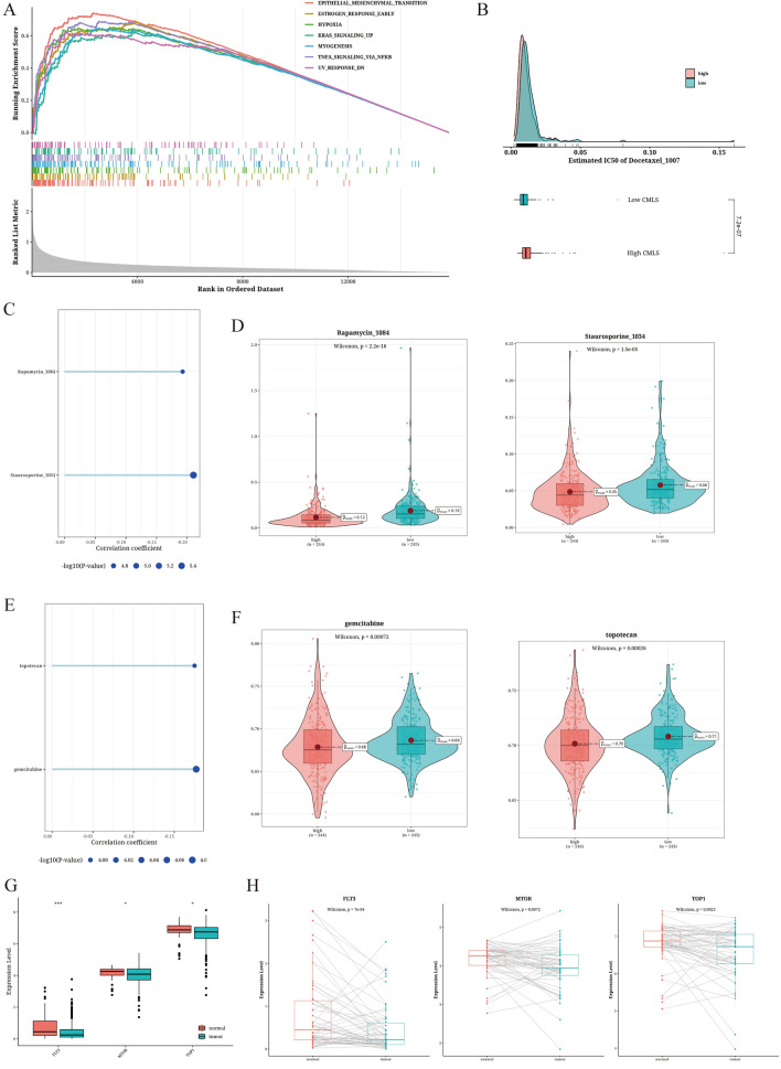 PMC11176101 – Fig7