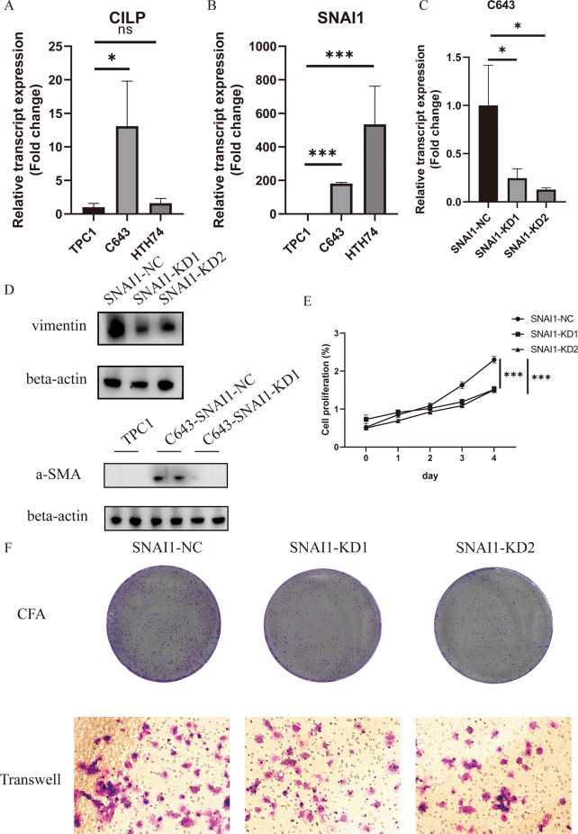PMC11176101 – Fig8