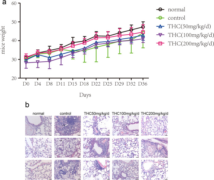 PMC10199880 – Fig1