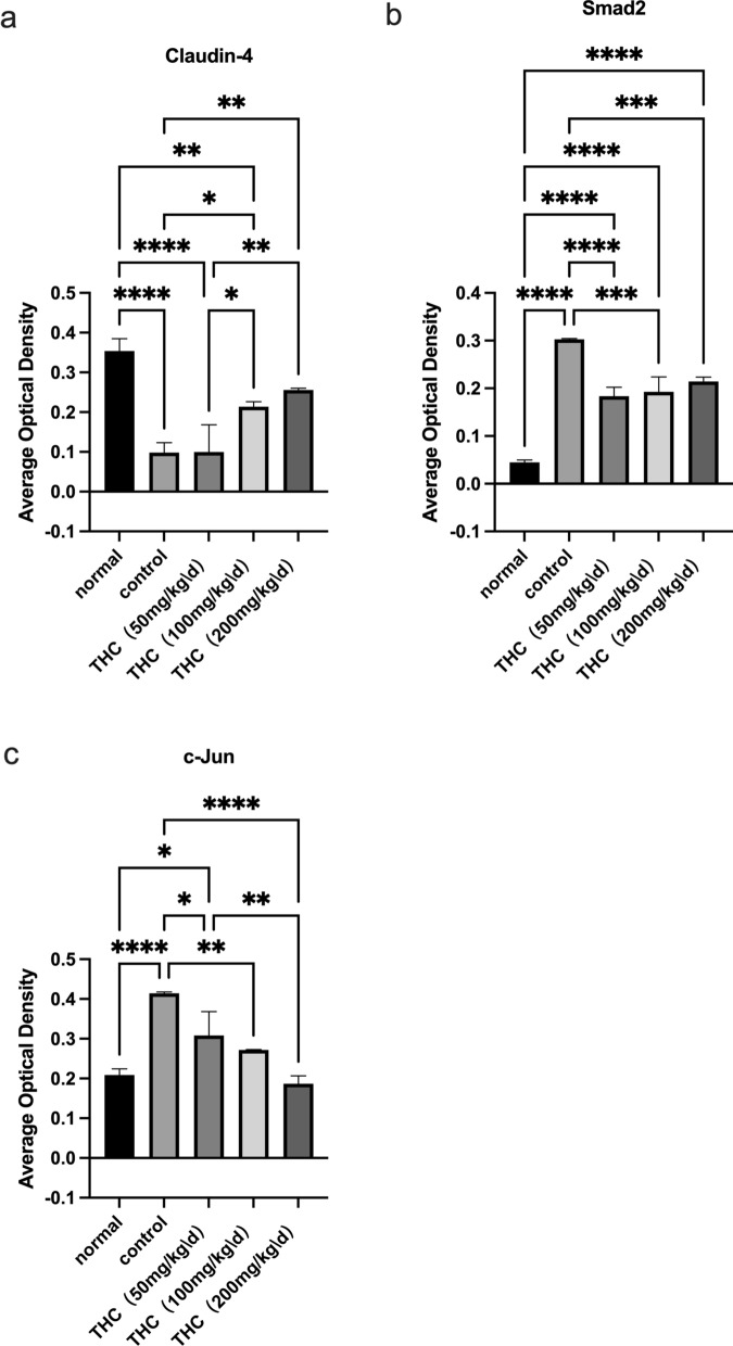 PMC10199880 – Fig3