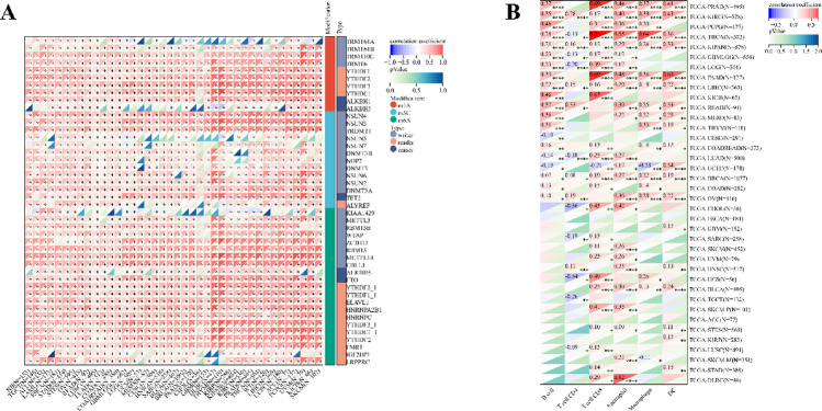 PMC12957451 – Fig5
