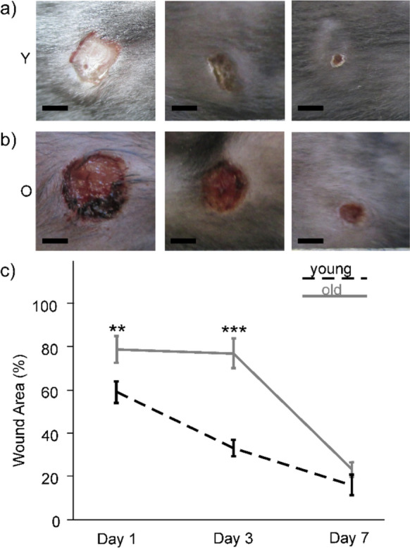 PMC11711145 – Fig2