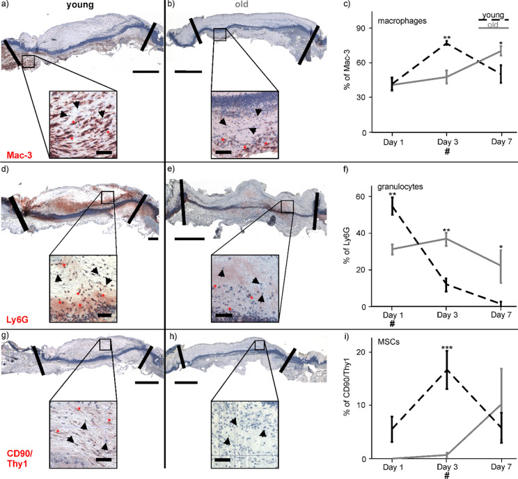 PMC11711145 – Fig3