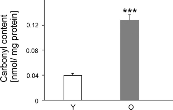 PMC11711145 – Fig5