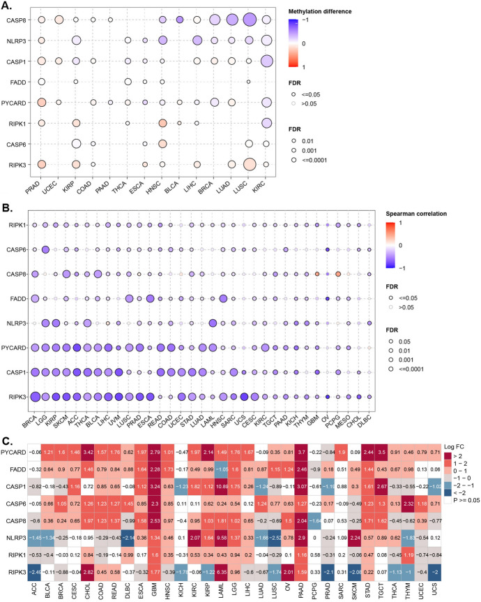 PMC11832696 – Fig2