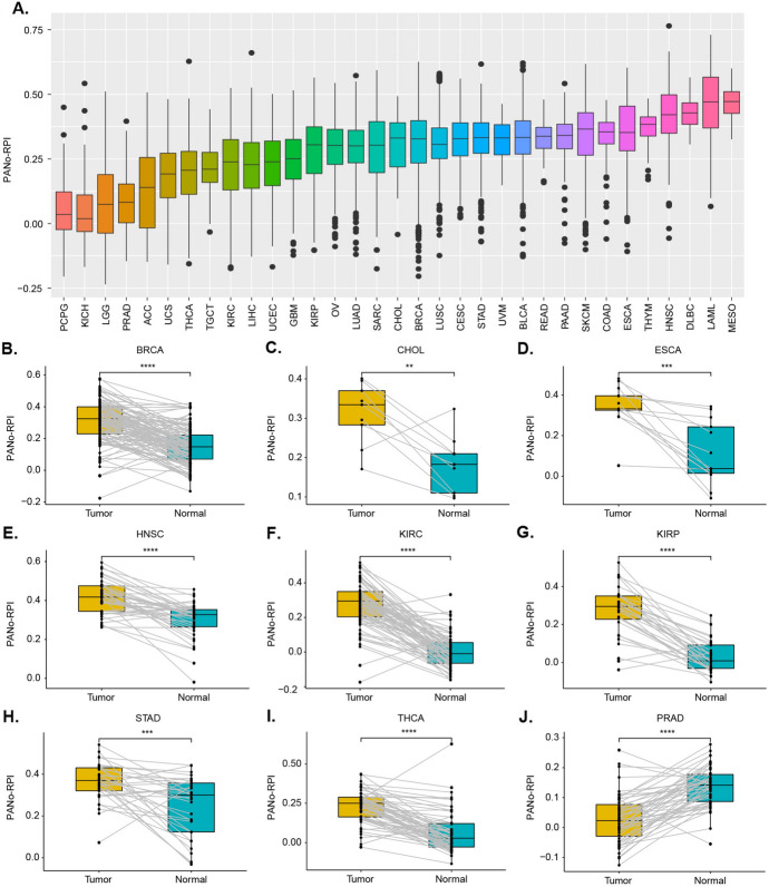 PMC11832696 – Fig3