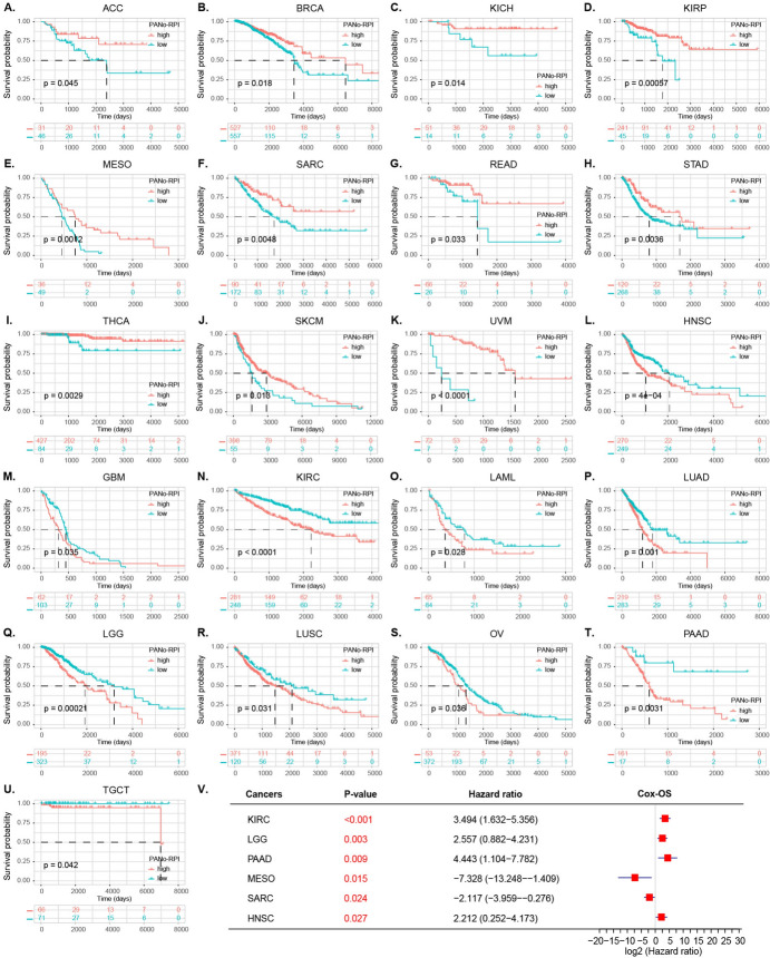 PMC11832696 – Fig4