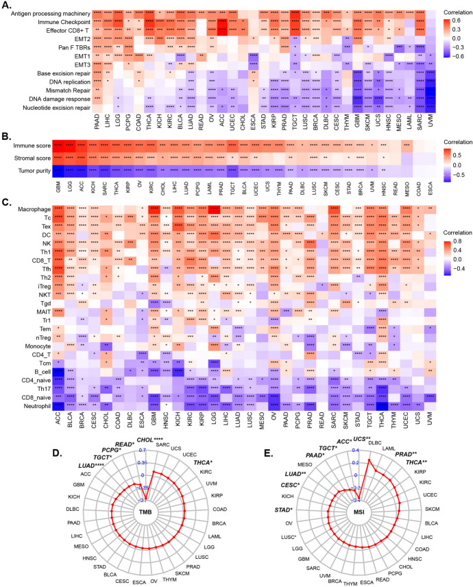 PMC11832696 – Fig6