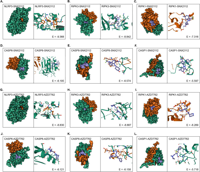PMC11832696 – Fig9