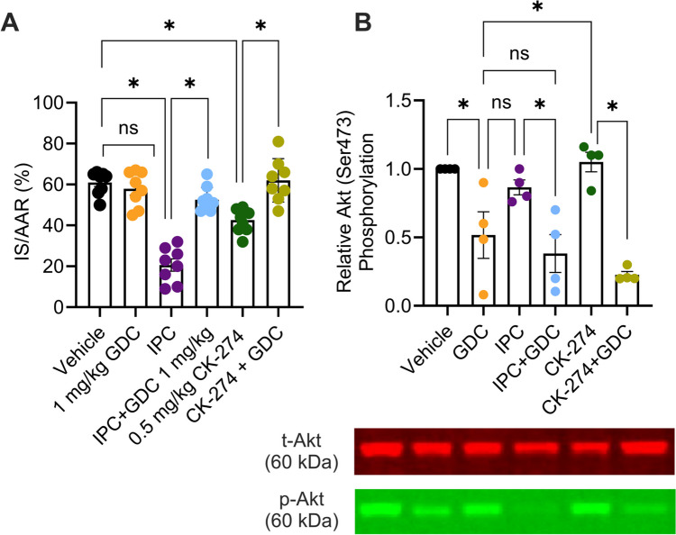 PMC12872633 – Fig7