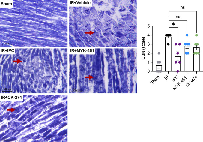 PMC12872633 – Fig8