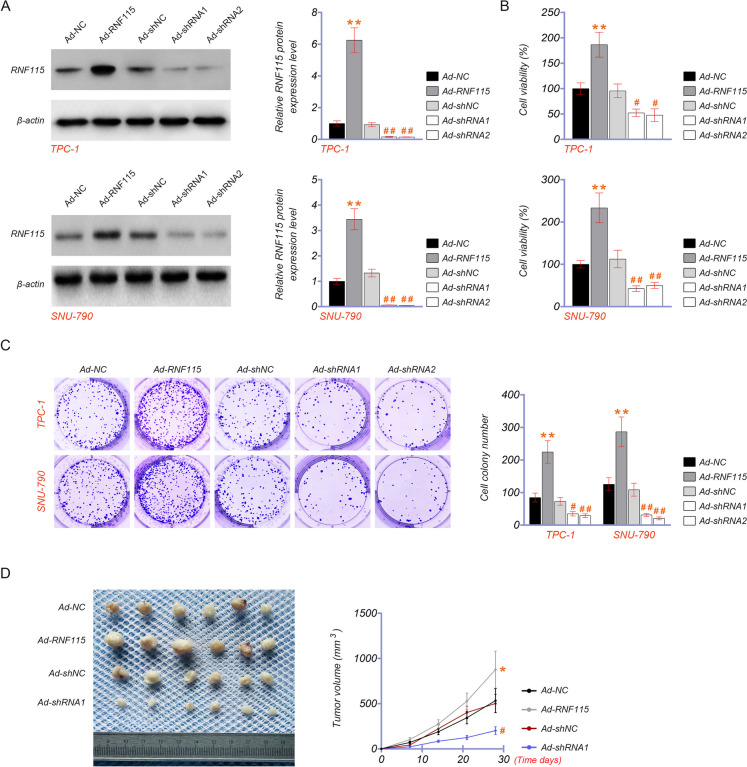 PMC10879231 – Fig2