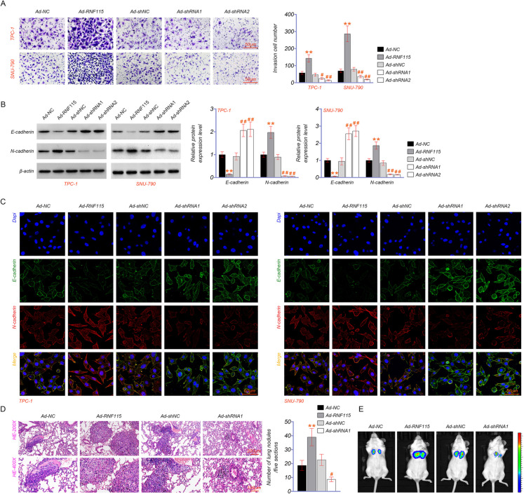 PMC10879231 – Fig3