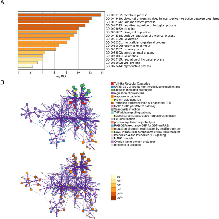 PMC10879231 – Fig4