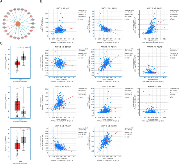 PMC10879231 – Fig5