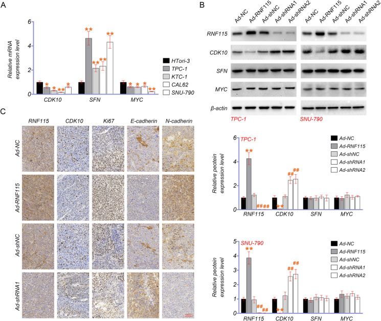 PMC10879231 – Fig6
