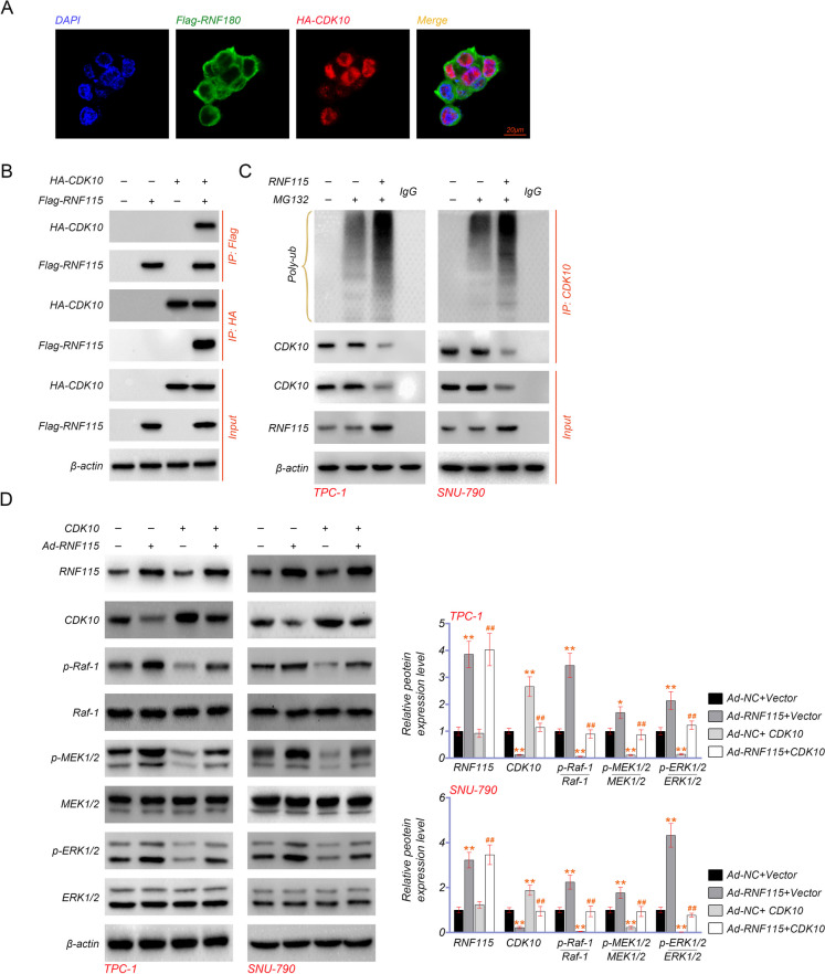 PMC10879231 – Fig8