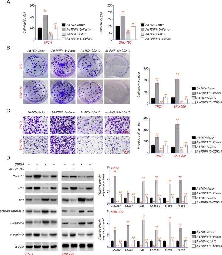 PMC10879231 – Fig9