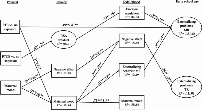 PMC12881090 – Fig2