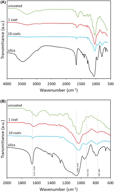 PMC6560928 – Fig5