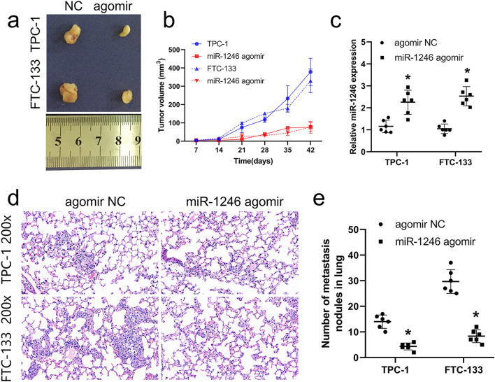 PMC8857084 – Fig6