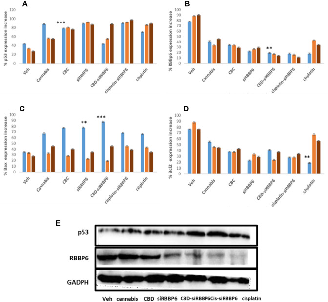 PMC10147767 – Fig4