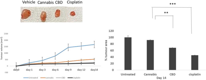 PMC10147767 – Fig5