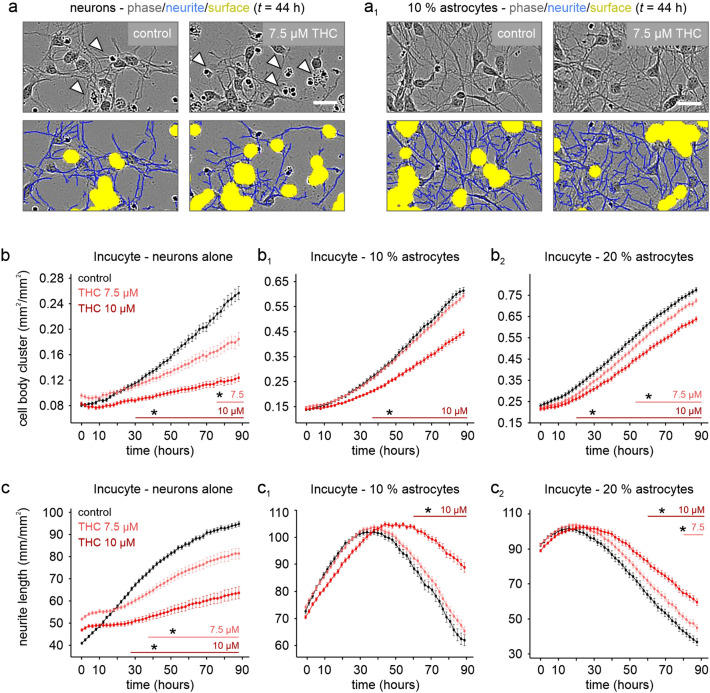 PMC10030412 – Fig4