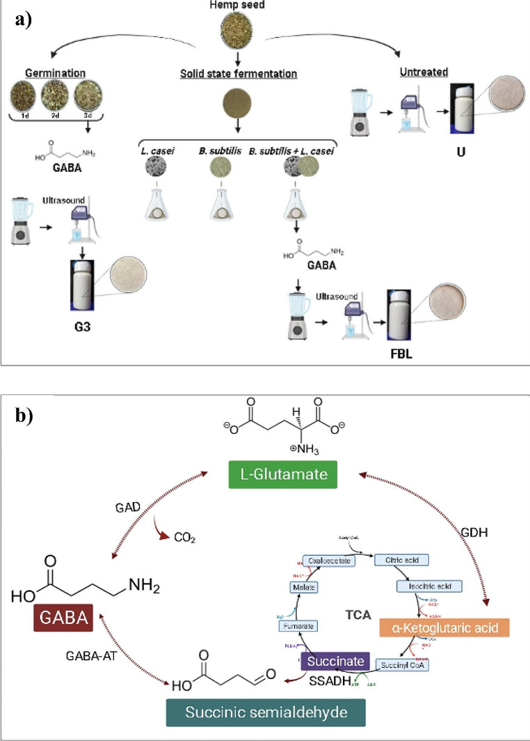 PMC11178579 – Fig1