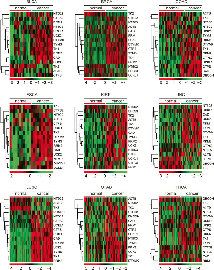 PMC7524999 – Fig11