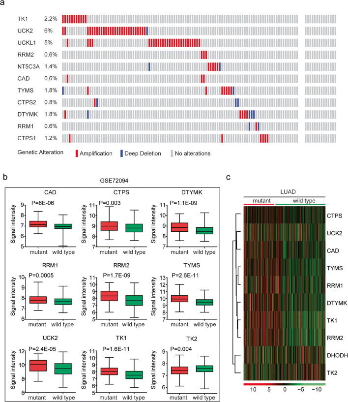 PMC7524999 – Fig8