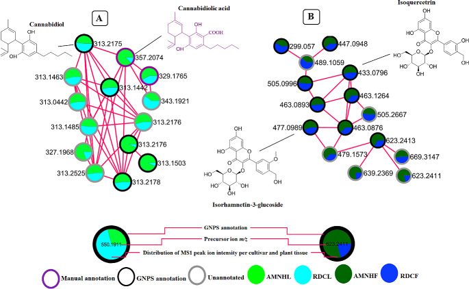 PMC11127828 – Fig2